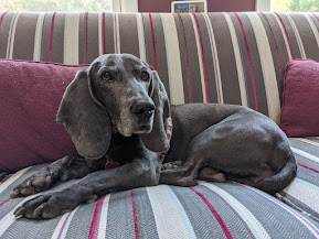 Bella in an older family photo